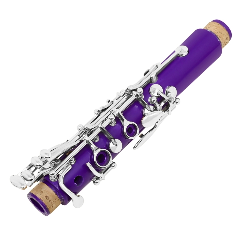 Musical Instrument In Orchestra - Woodwind Band & Orchestra Musical Instrument