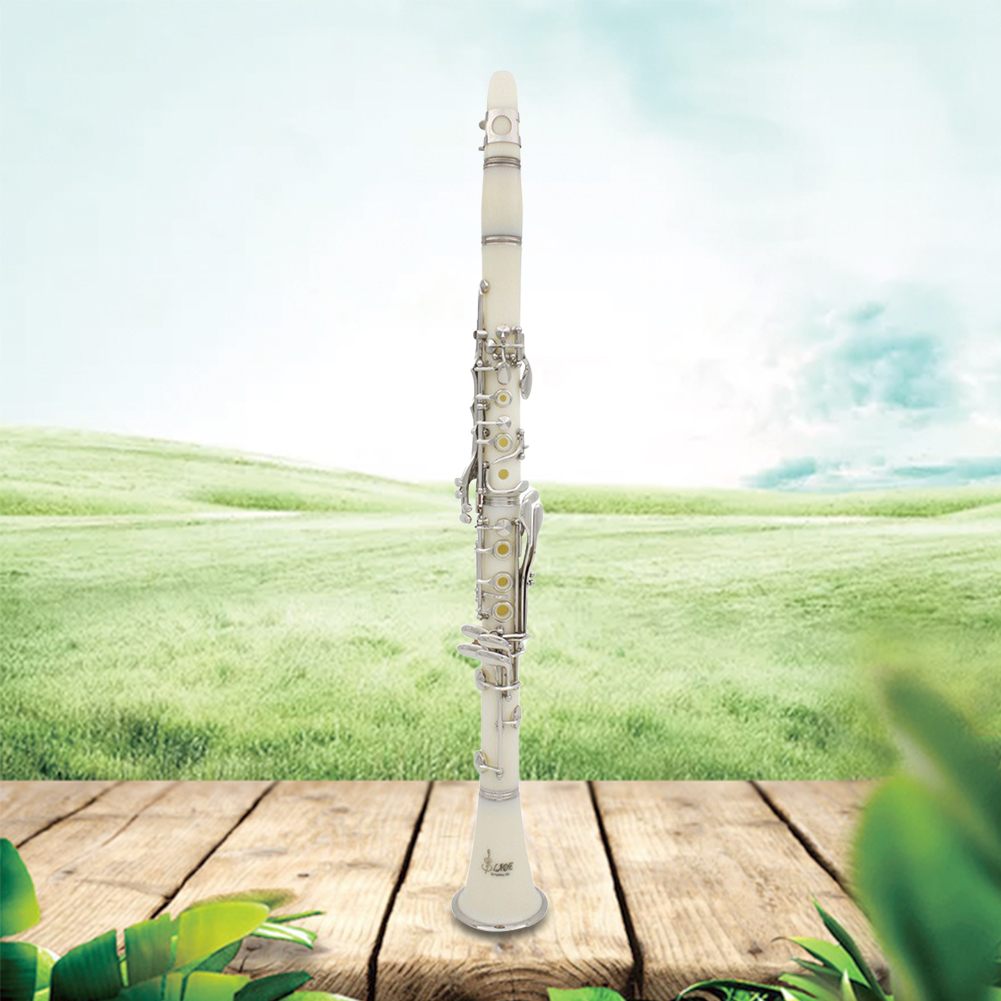 Bb Clarinet 17 Keys with Case  - Musical Instrument In Orchestra ulasan dan harga