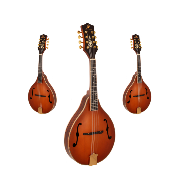 Hot Sale Classical 8 Strings M - Musical Instrument Mandolin ulasan dan harga