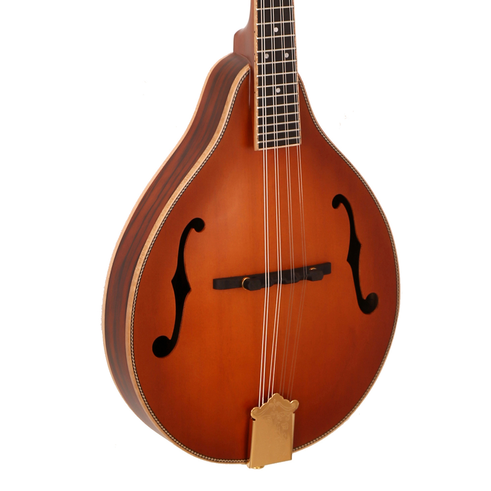Hot Sale Classical 8 Strings M - Musical Instrument Mandolin ulasan dan harga