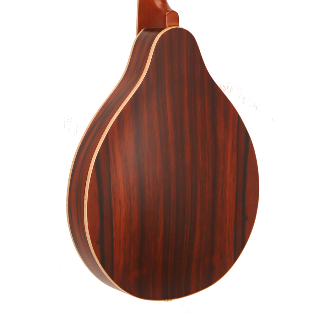 Hot Sale Classical 8 Strings M - Musical Instrument Mandolin ulasan dan harga