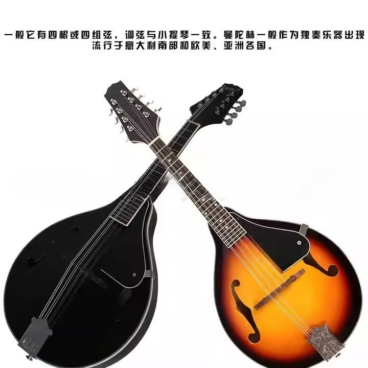 Tibetan Ethnic Musical Instrum - Musical Instrument Mandolin ulasan dan harga