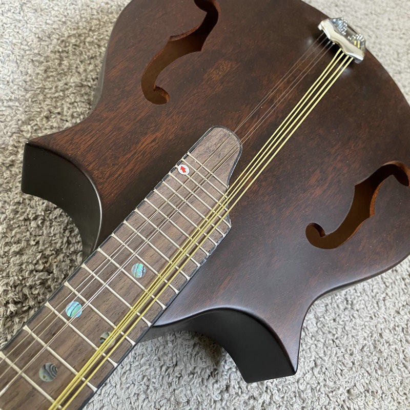 K595 Morgan Monroe All Solid W - Musical Instrument Mandolin ulasan dan harga