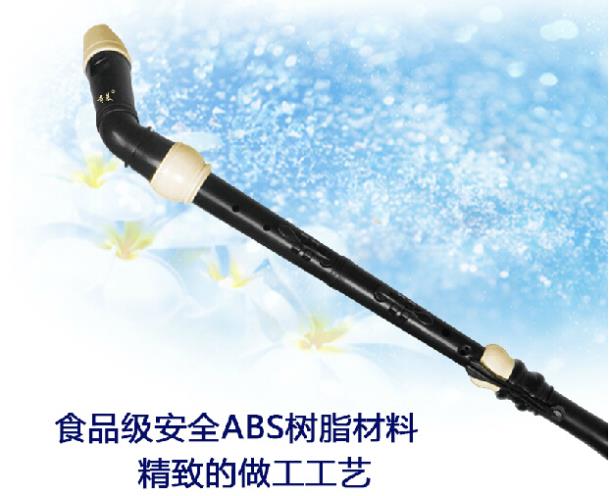 Professional 8 Holes Baroque B - Recorder Baroque Style ulasan dan harga