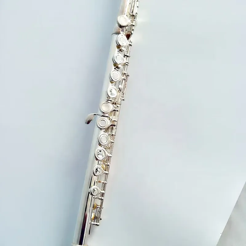 16 17 Hole Silver Plated Flute - Musical Instrument In Orchestra ulasan dan harga