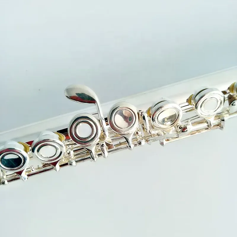 16 17 Hole Silver Plated Flute - Musical Instrument In Orchestra ulasan dan harga