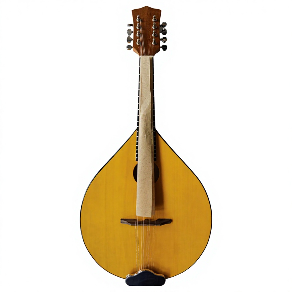 8-String Acoustic Banjo, Bassw - Musical Instrument Mandolin ulasan dan harga